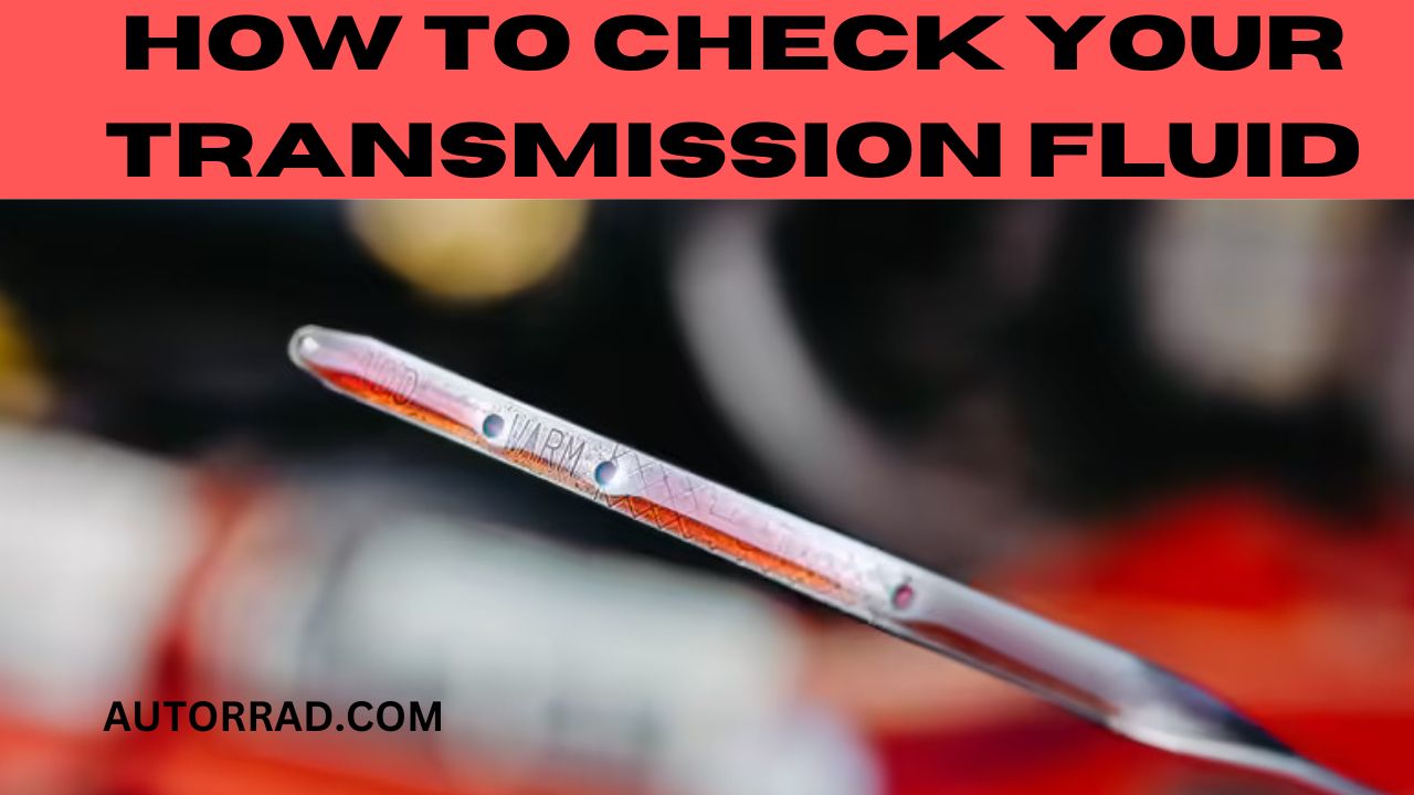 Keeping Your Car Running Smoothly: A Step-by-Step Guide On How To Check ...